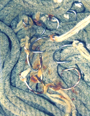 Can you spot the Qi Hooks?